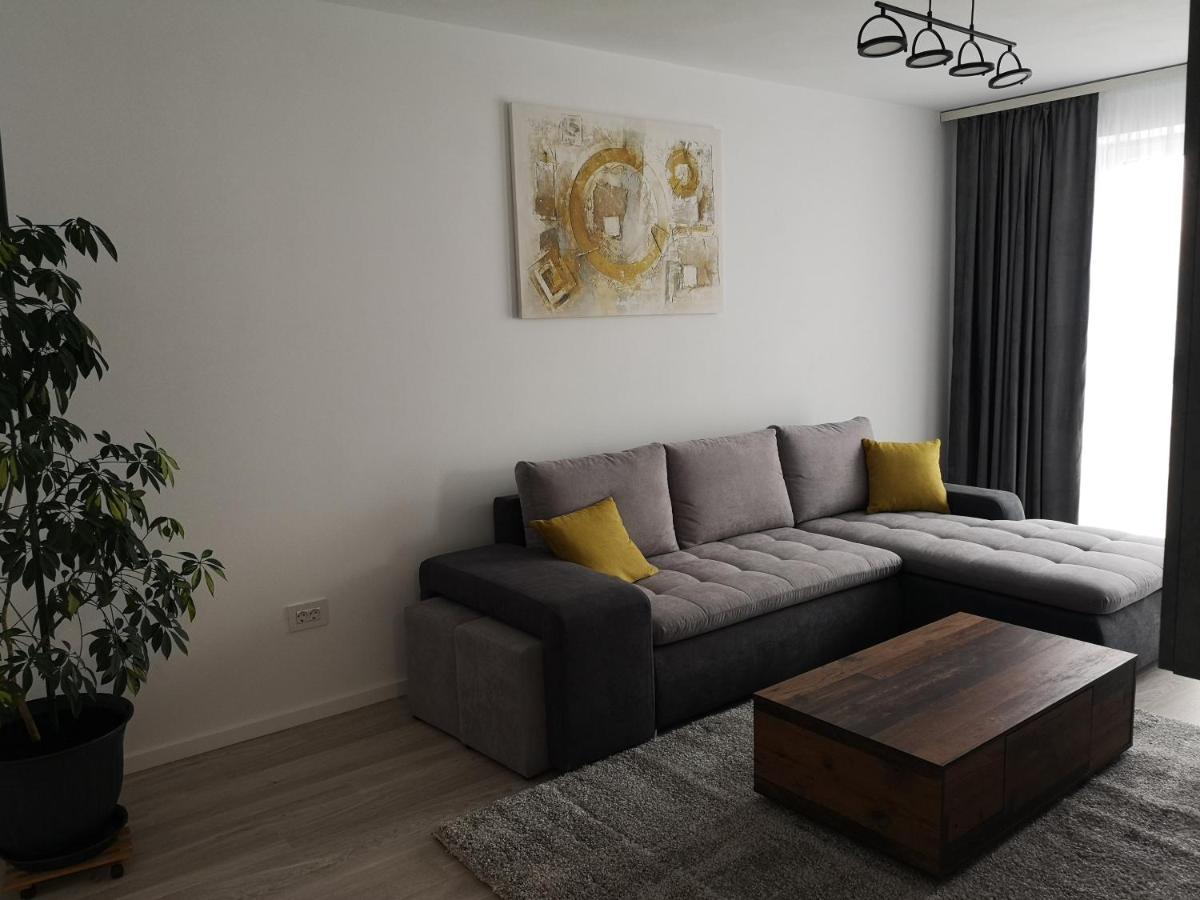 Grey House Residence Brasov Exterior photo