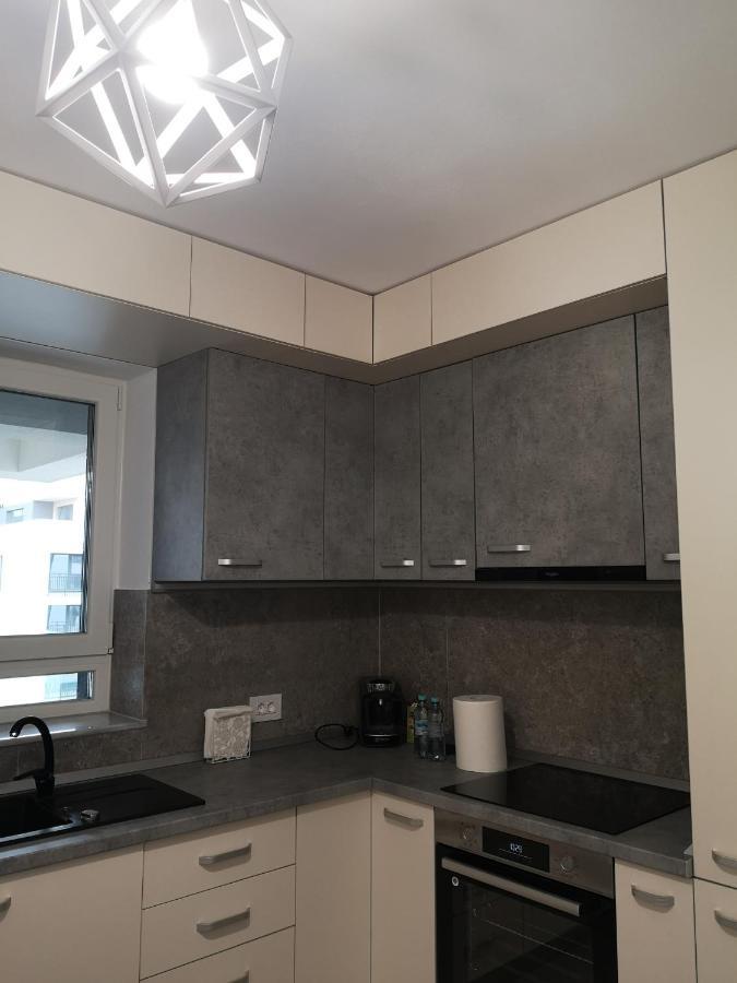 Grey House Residence Brasov Exterior photo